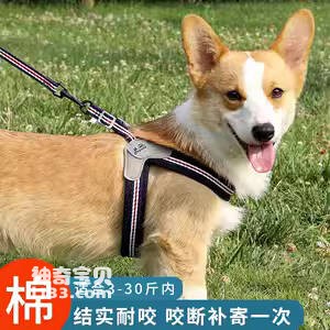 Dog leash triangle type