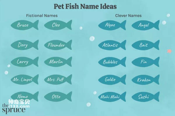 200+ Great Names for Your Pet Fish (Every fish should have a name that suits its personality)