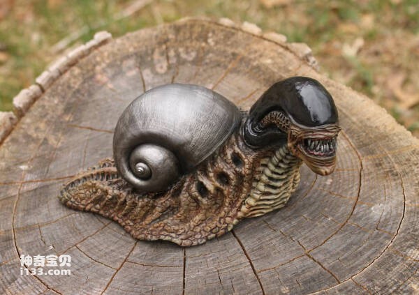 Top 10 scariest snails in the world