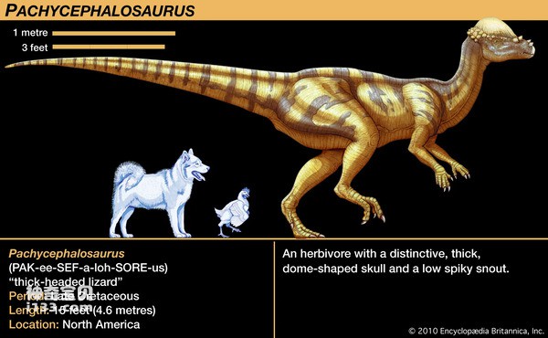 6 Awesome Dinosaur Species