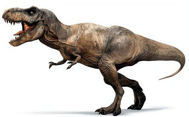 Detailed information and living habits of Tyrannosaurus rex