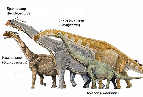 Detailed information and living habits of dinosaurs