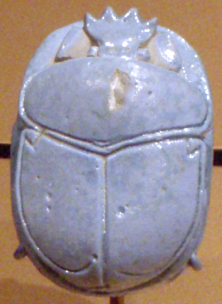 Detailed information and living habits of scarabs (detailed introduction)