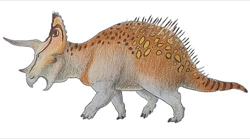 Detailed information and living habits of Triceratops (detailed introduction)