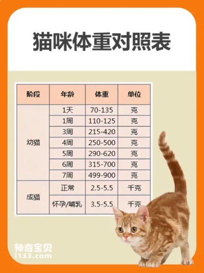 Cat weight and food intake comparison table