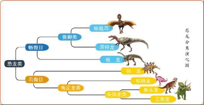 What are the classifications of dinosaurs?