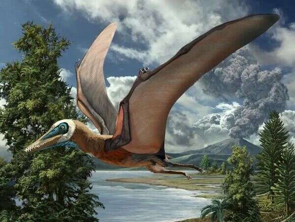 Is a pterosaur a dinosaur?