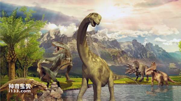 The difference between herbivorous dinosaurs and carnivorous dinosaurs