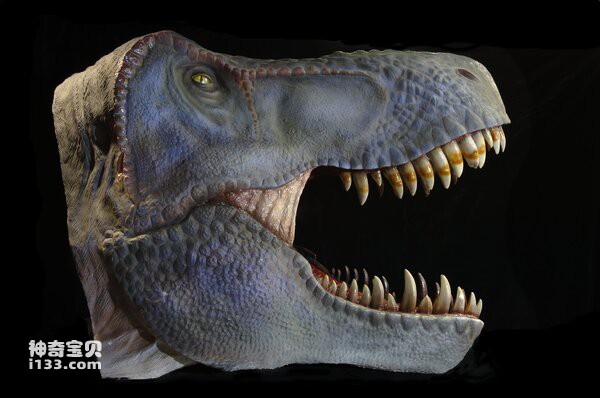 What is the difference between the senses of carnivorous dinosaurs and herbivorous dinosaurs?