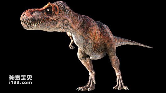 Dinosaur - Tyrannosaurus rex