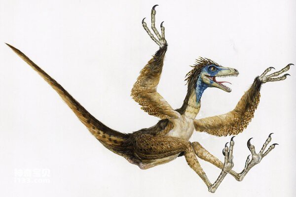 Dinosaur - Millennium Sinornithosaurus