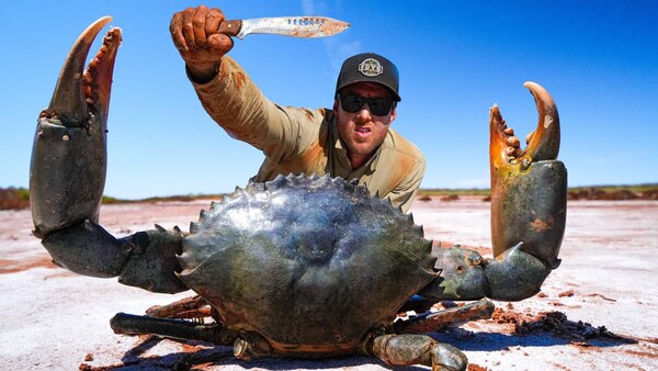 Top 10 largest crabs in the world. How big is the largest crab?