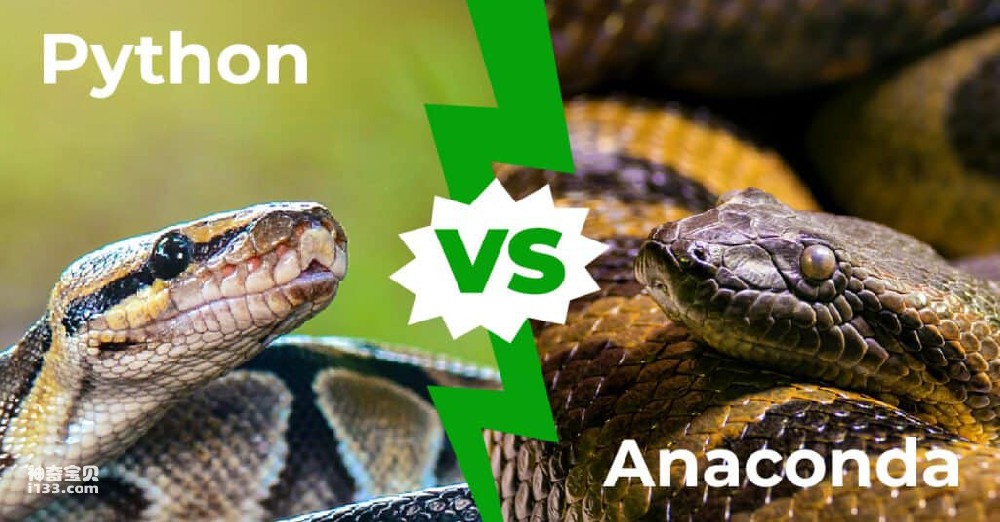 What is the difference between anaconda and snake (detailed introduction)