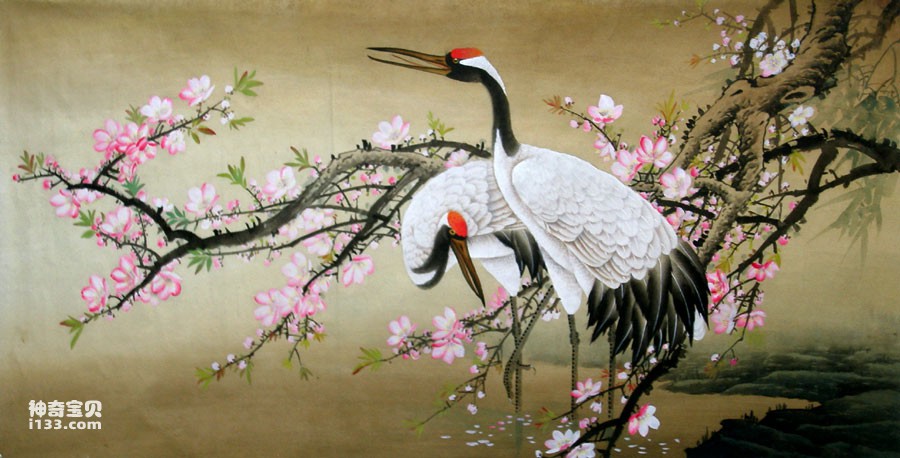What kind of animal is the white crane (detailed introduction)