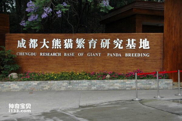 Where is the giant panda base (detailed introduction)