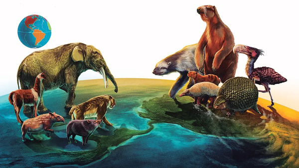 The world's 10 most extinct animals