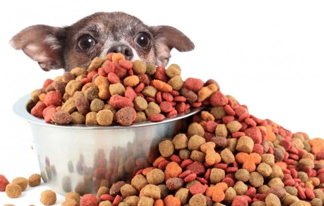 The world's top 10 imported dog food brands (detailed introduction)
