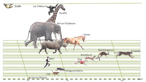 Are-humans-the-most-endurance-rich-animals.jpeg