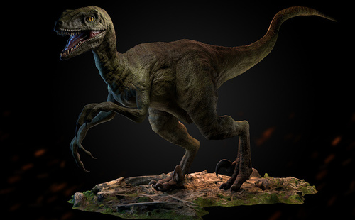 Velociraptor