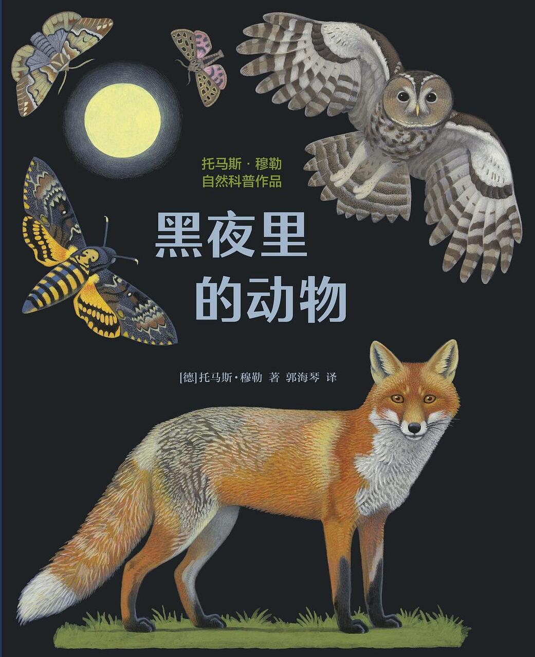 Night Walkers among Animals: Uncovering the Secrets of the Night