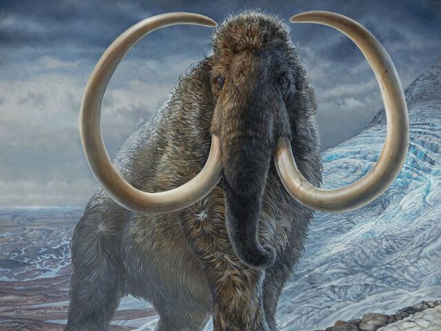 Animals of the Ice Age: Survival, Adaptation, and Extinction