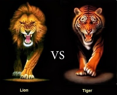 Lion vs Tiger: Who Is the True King of the Beasts?