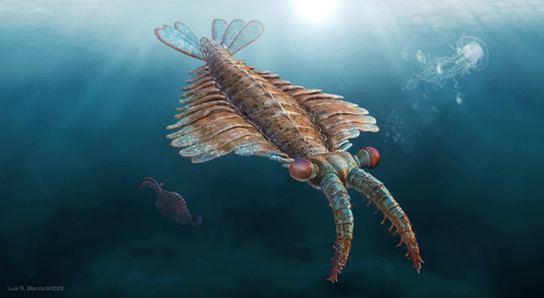 Majestic Beasts of the Ancient Deep: Incredible Animals of the Paleozoic Era