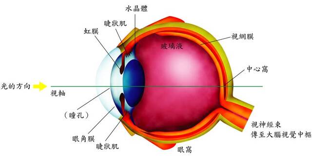 光线感知原理图.jpg