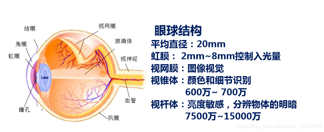 视觉特性示意图.png