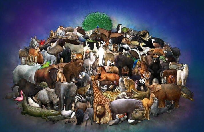 How Many Animals Are in the World? A Comprehensive Overview