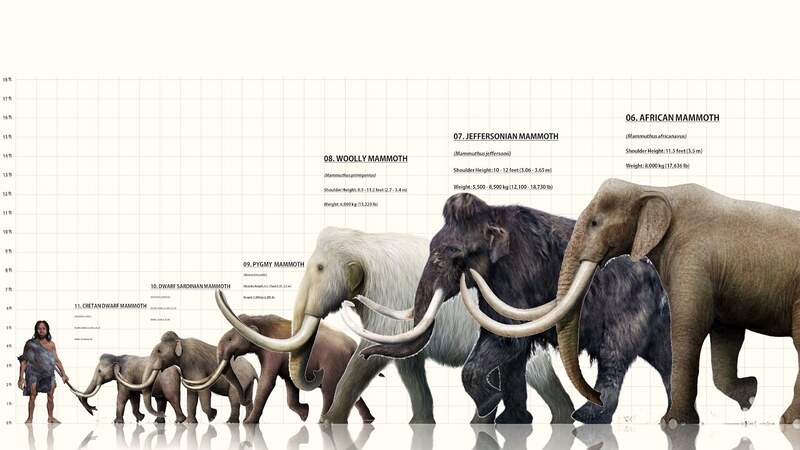 Top 10 Extinct Ancient Elephants