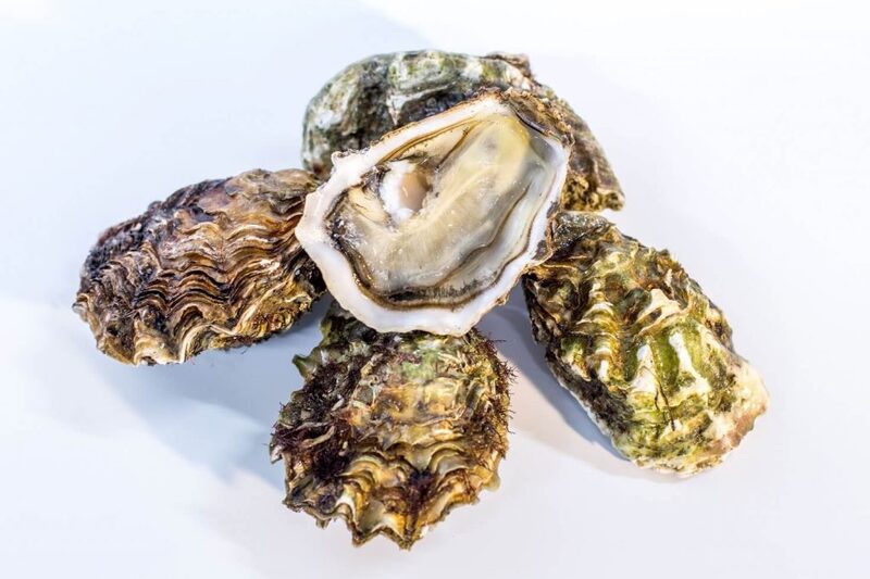 Icelandic-oysters-16.jpg