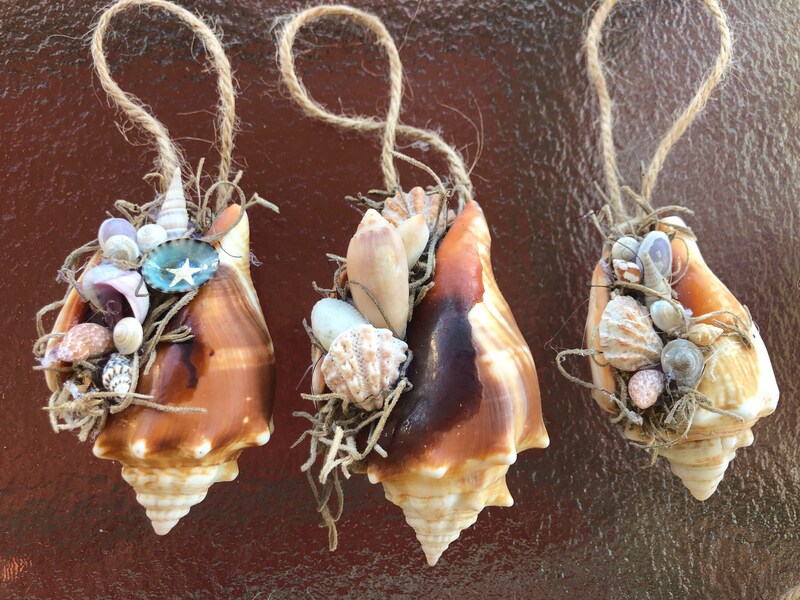 The world's top 10 famous conch shells