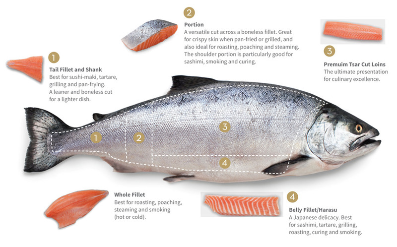 Top 10 salmon in the world