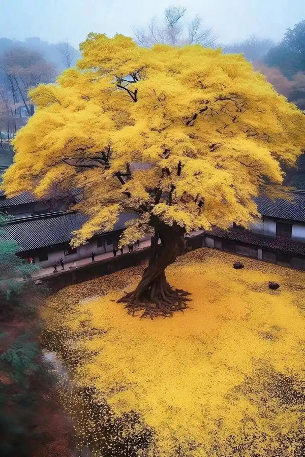 Ginkgo Biloba: The Ancient 