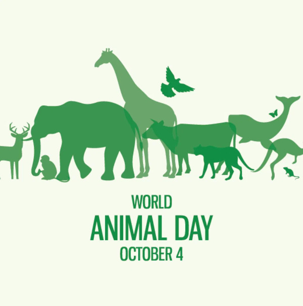 When Is Animal Day? A Comprehensive Guide to World Animal Day and Animal Welfare