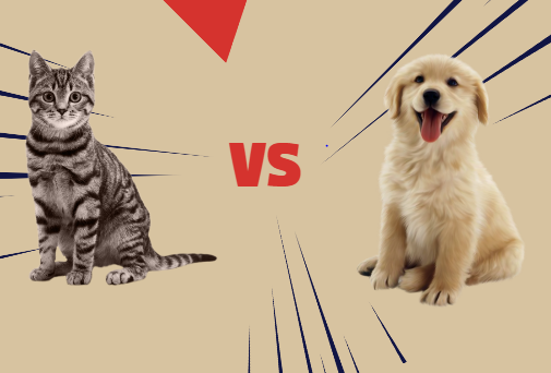 Which animal carries more diseases: cats vs dogs?