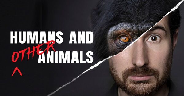 What does It mean to be human vs animals: a comprehensive guide