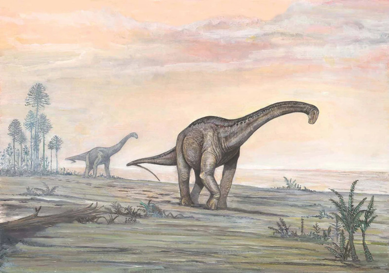 Pellegrinisaurus: A Comprehensive Look at This Giant Sauropod