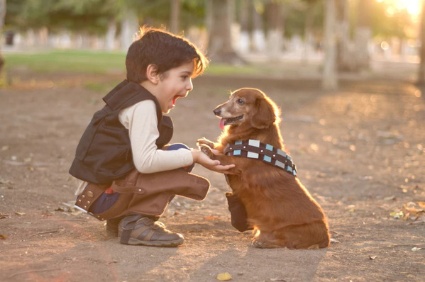 Dog and Kids: 5 Tips for Building a Safe and Happy Relationship