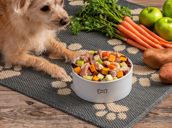 How to Choose the Right Dog Food