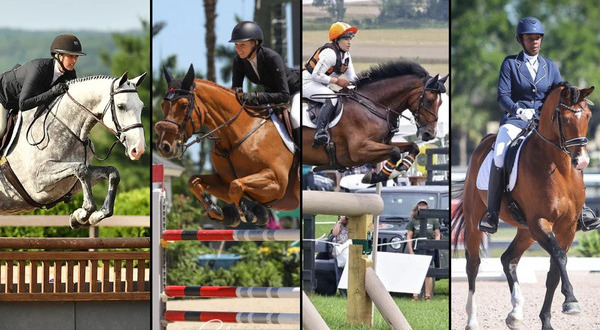 Equestrian Competitions: Types and Rules Explained