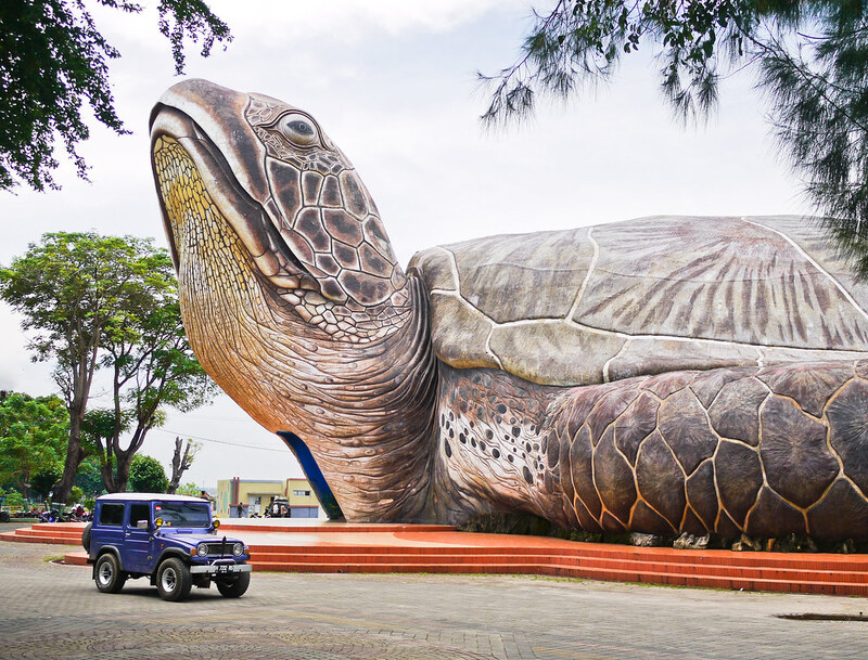 Top 10 Largest Turtles in the World