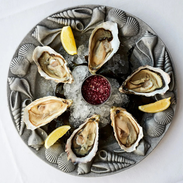 Oysters (Crassostrea gigas)