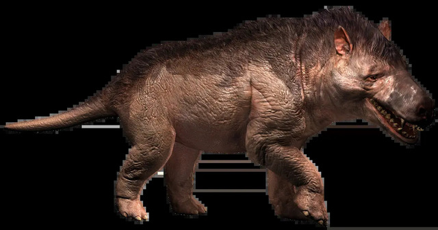 Andrewsarchus