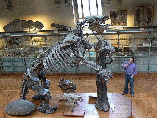 Megatherium