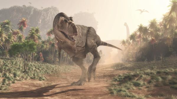 Animales prehistóricos: ejemplos de especies extintas y vivas - Características de los animales prehistóricos