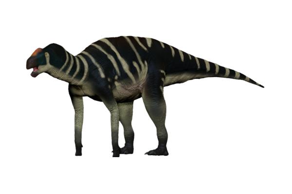Dinosaurios en Argentina - Kritosaurus navajovius