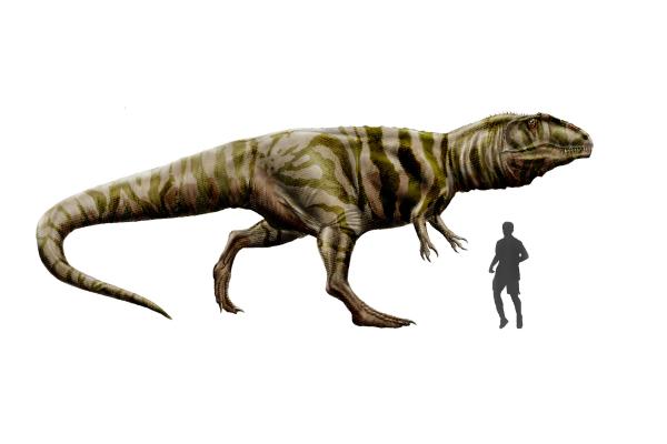 Dinosaurios en Argentina - Giganotosaurus carolinii