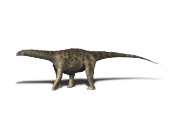 Dinosaurios en Argentina - Saltasaurus loricatus